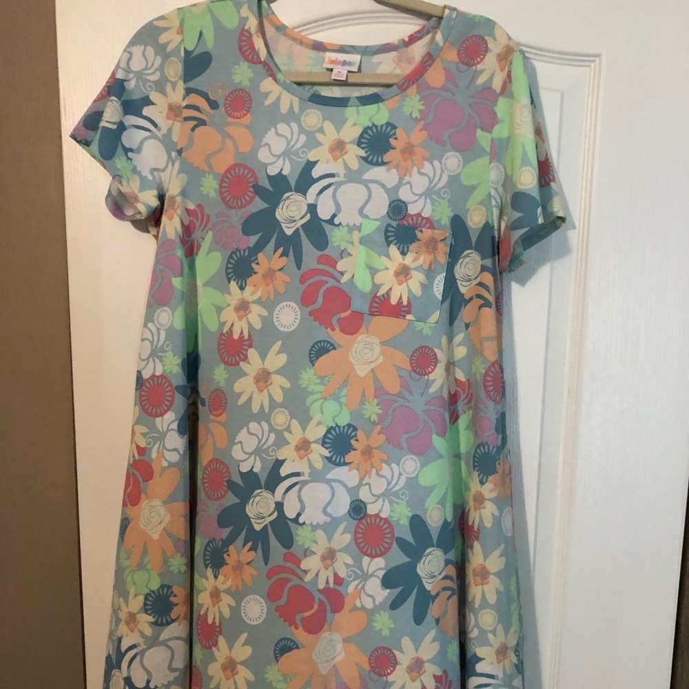 Lularoe Carly dress